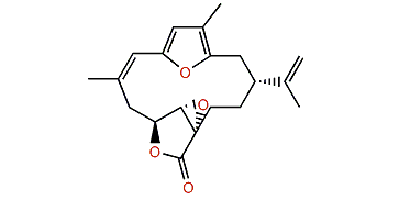 Coralloidolide A